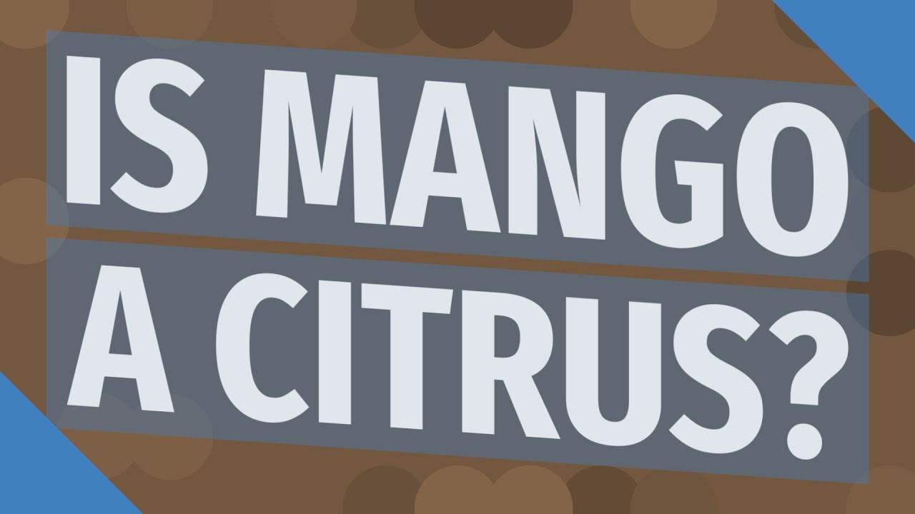 ¿Es el mango una fruta cítrica?