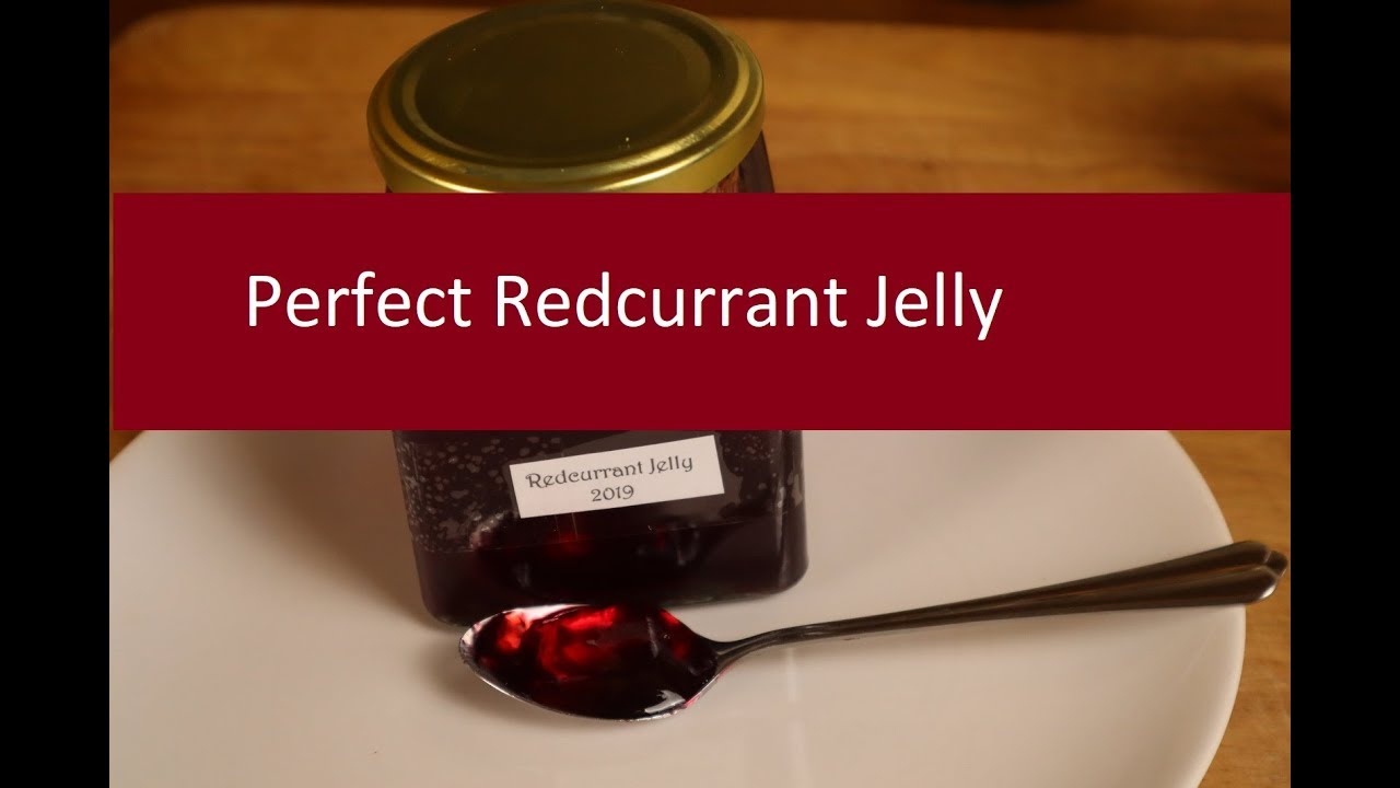 ¿Cuál es el mejor sustituto de la gelatina de grosella roja?