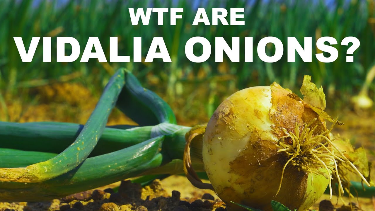 ¿Cuál es el mejor sustituto de las cebollas Vidalia?