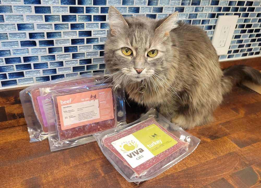 Revisión de comida cruda para gatos Viva
