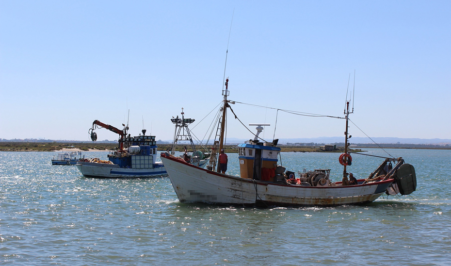 La Junta convoca ayudas para la pesca de arrastre del Mediterráneo por 3,3 millones de euros