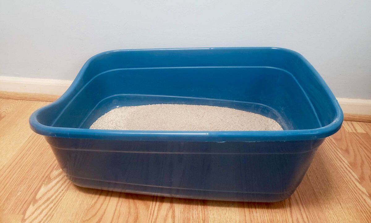 Revisión de la caja de arena para gatos Petmate