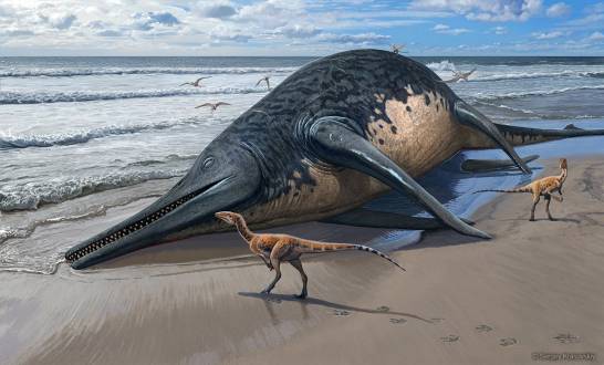 Un ihtiosaur uriaș găsit în Regatul Unit ar putea fi cea mai mare reptilă marine din istorie
 – Știință Știri