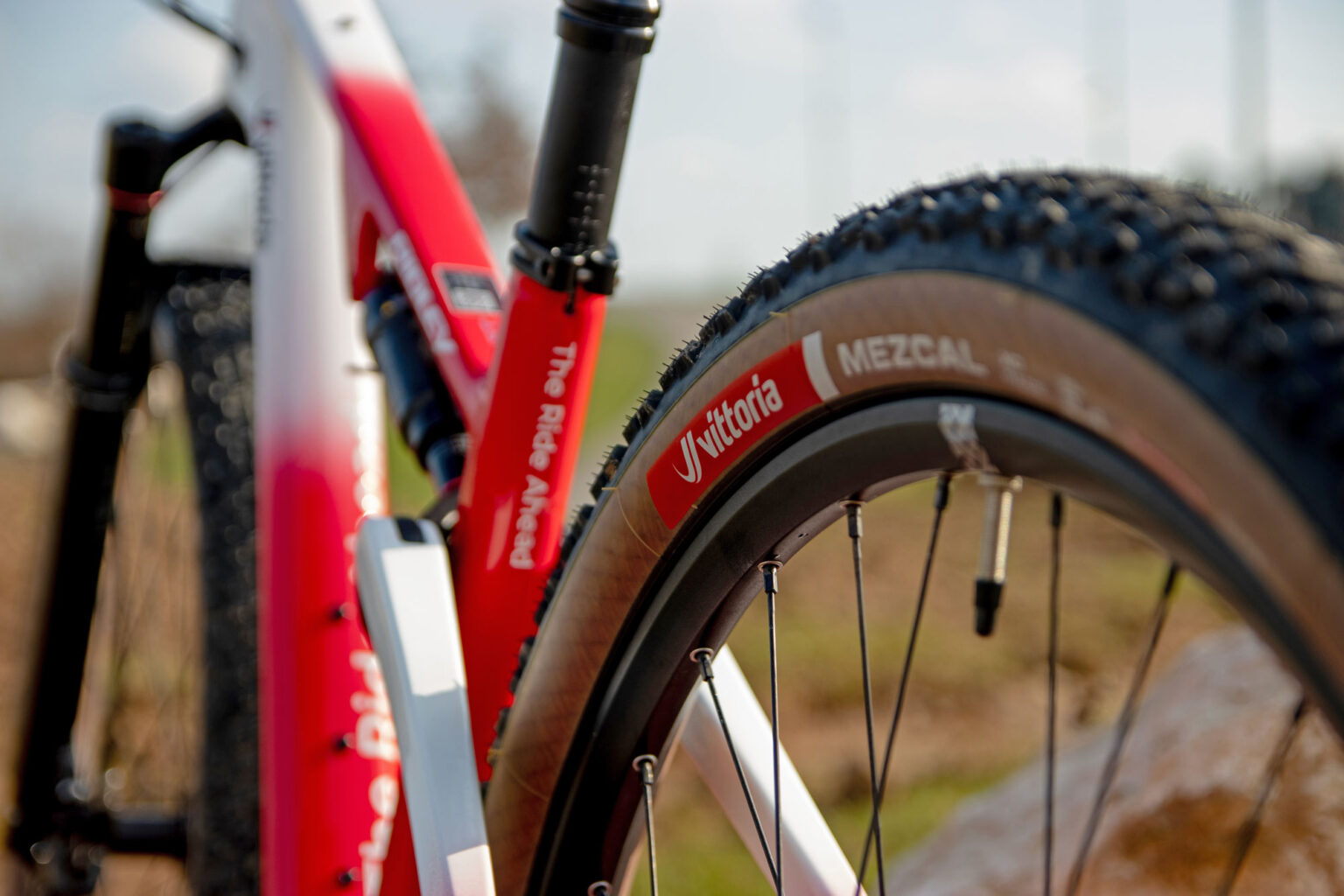 Nuevos neumáticos para bicicletas de montaña Peyote y Mezcal XC ganadores del campeonato mundial de Vittoria