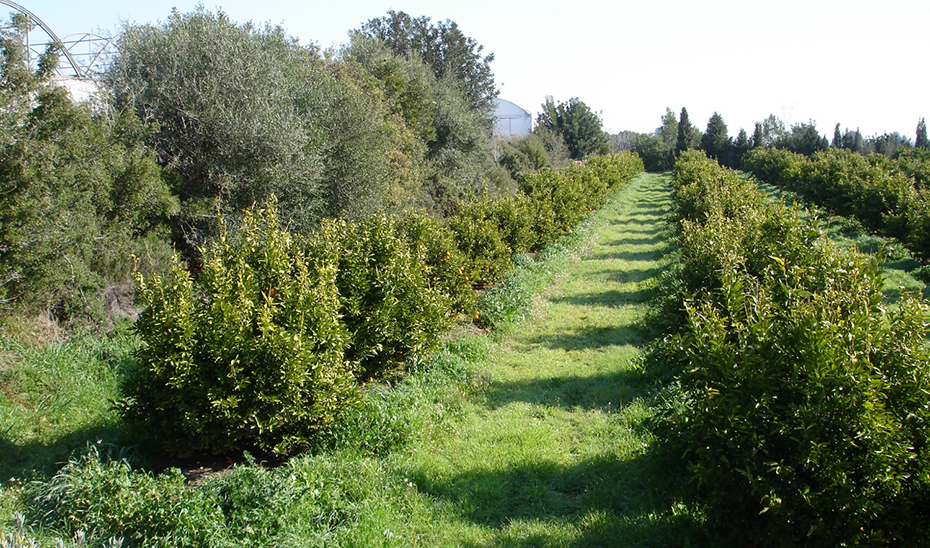 Aprobado el Proyecto de Ley para impulsar la producción ecológica e integrada de alimentos