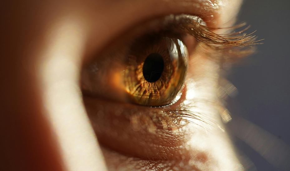 Investigadores andaluces participan en el desarrollo de una terapia génica para las distrofias hereditarias de la retina