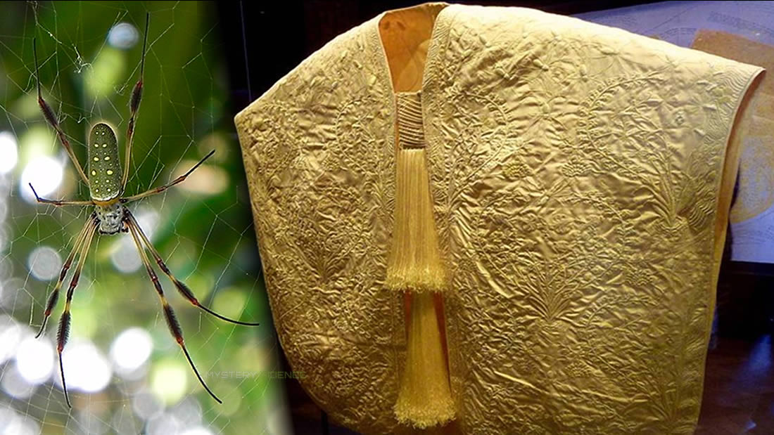 Made from the silk of a million spiders – Mystery Science