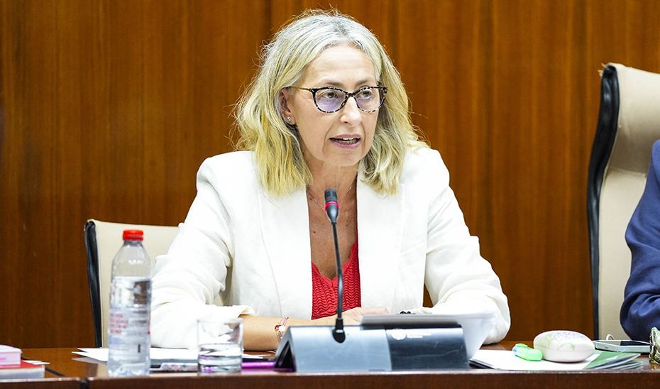 Más de 2.300 niños y adolescentes con diabetes usan en Andalucía el sistema de monitorización flash