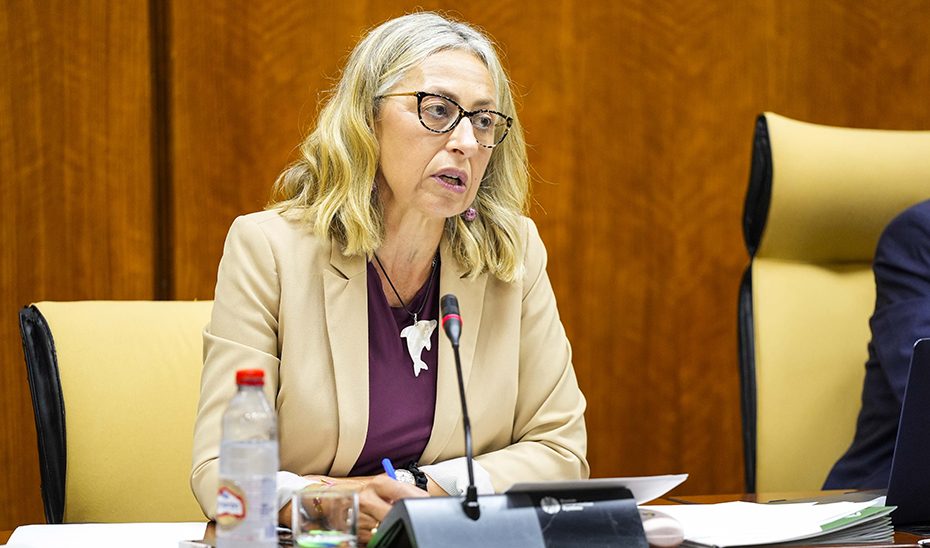 Andalucía aspira a aumentar la cobertura de vacunación de la gripe esta campaña 2024-2025