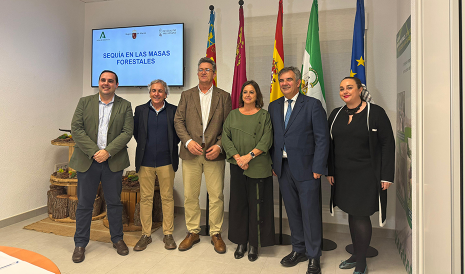 La nueva política forestal de Andalucía, protagonista en la adaptación de los bosques españoles a la sequía y el cambio climático