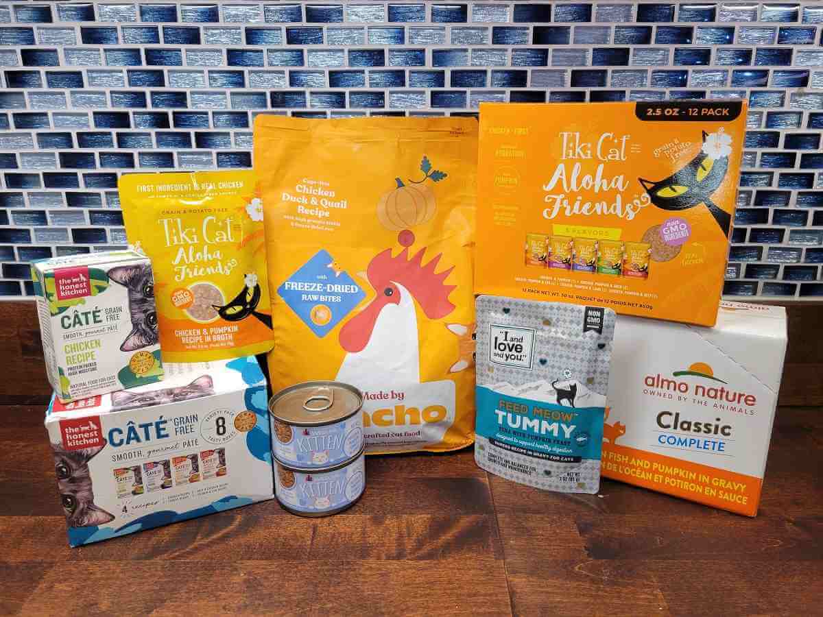 Los 6 mejores alimentos para gatos con calabaza