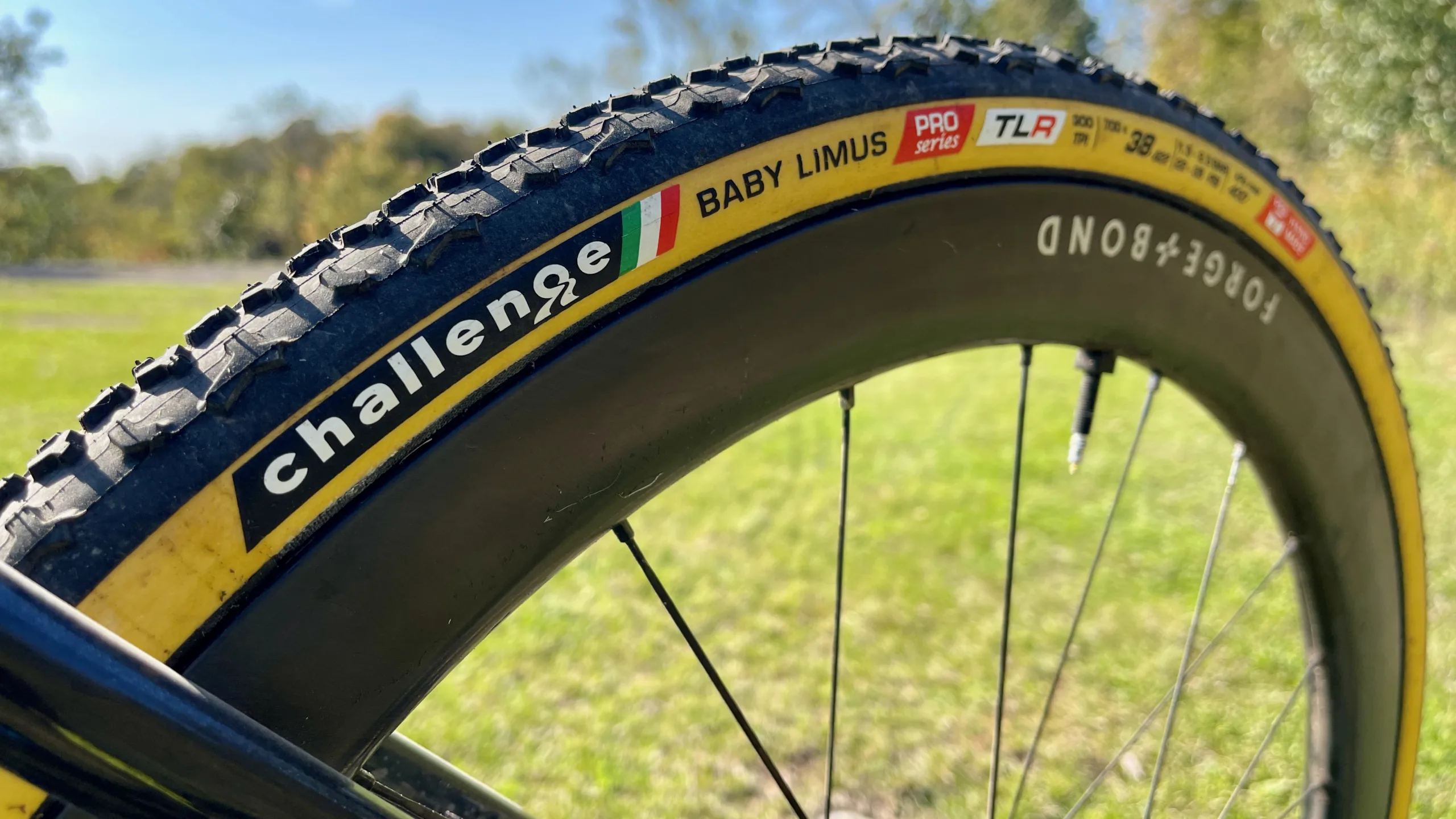 Revisión: los neumáticos Challenge Baby Limus de 38 mm no solo son excelentes para ciclocross