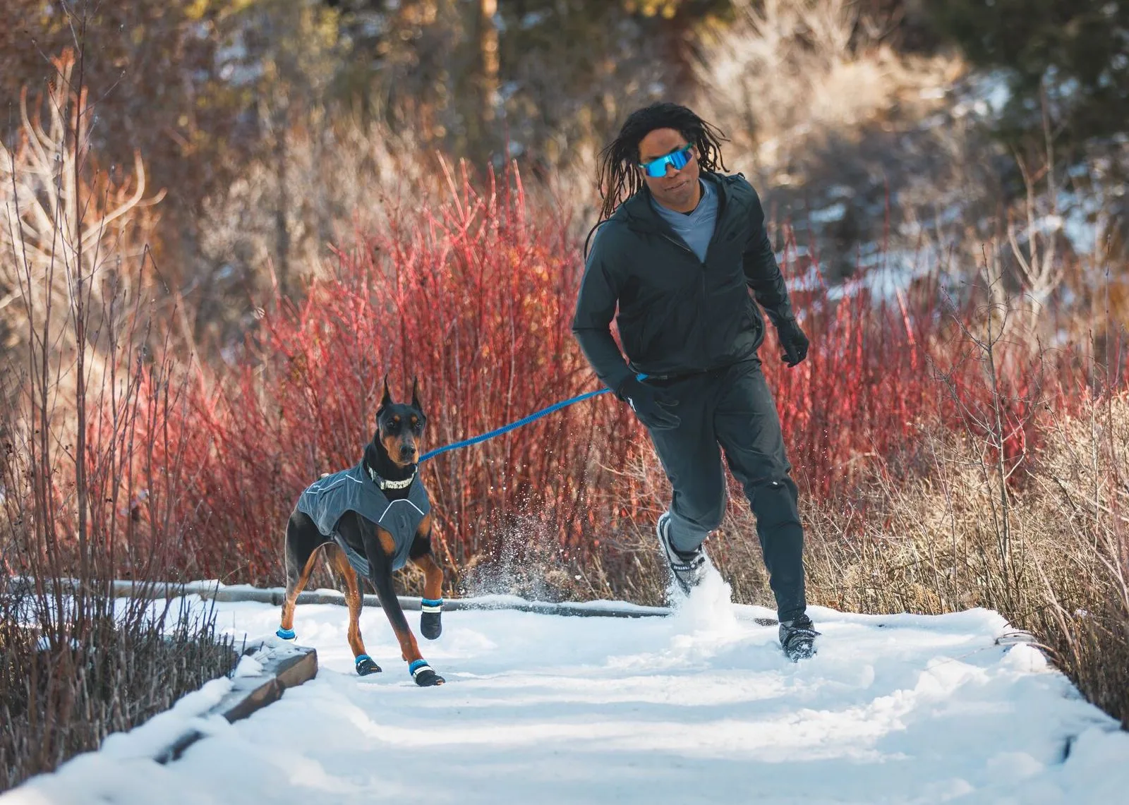 Equipo de invierno de Ruffwear: mantenga a su perro de rastreo listo para cualquier aventura esta temporada