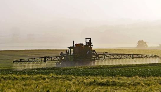 Unul dintre cele mai utilizate pesticide din UE este foarte dăunător pentru biodiversitate
 – Știință Știri