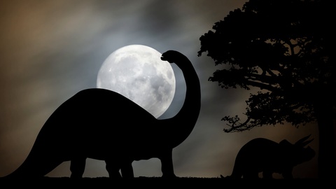 Luna Llena en Aries – El Cerebro Reptiliano