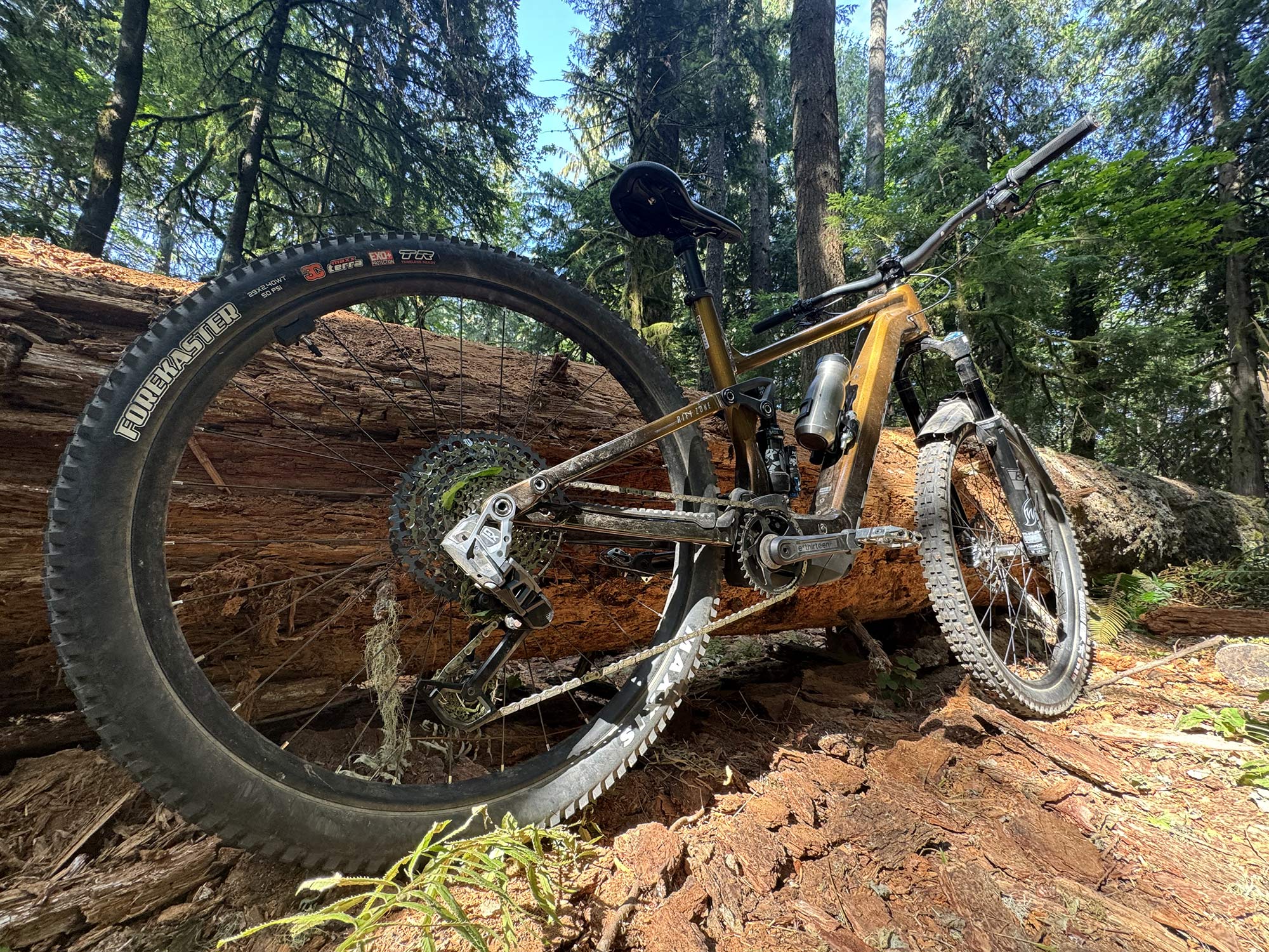 Marin Rift Zone EL ilumina el eMTB – ¡Primeros viajes!