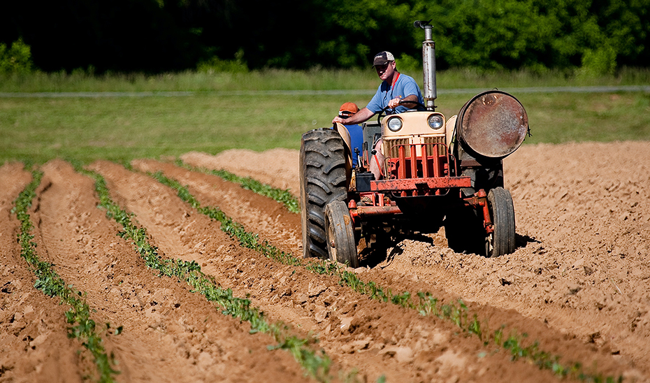 La Junta destina 140 millones a respaldar la labor que realizan 48 grupos de Desarrollo Rural andaluces