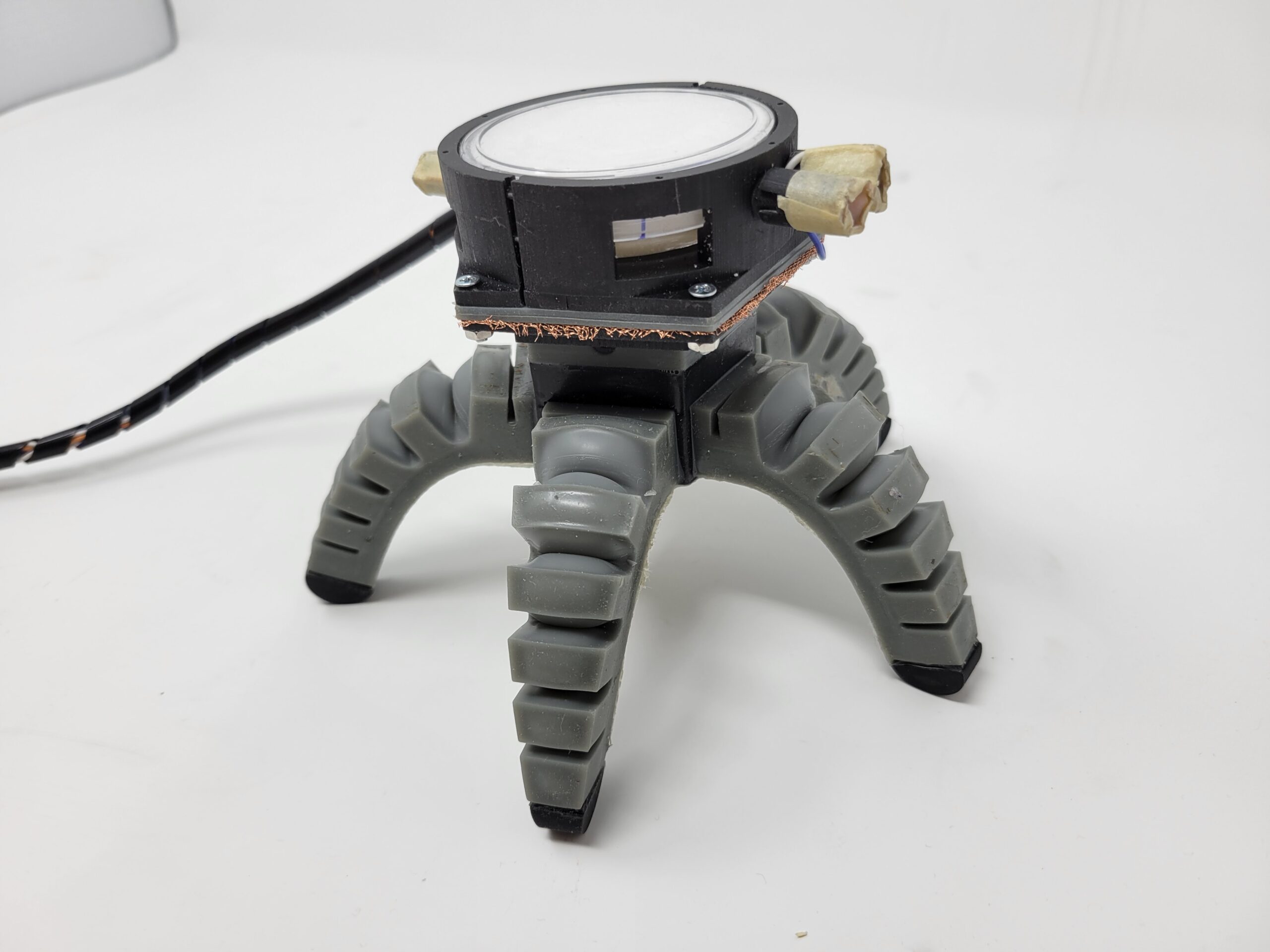 Explorando la inteligencia fúngica con robots biohíbridos impulsados ​​por Arduino