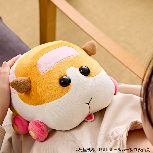Papa “Molcar”, Shiromo y Warm Time ~ ♪ Peluche con calentador incorporado ya disponible