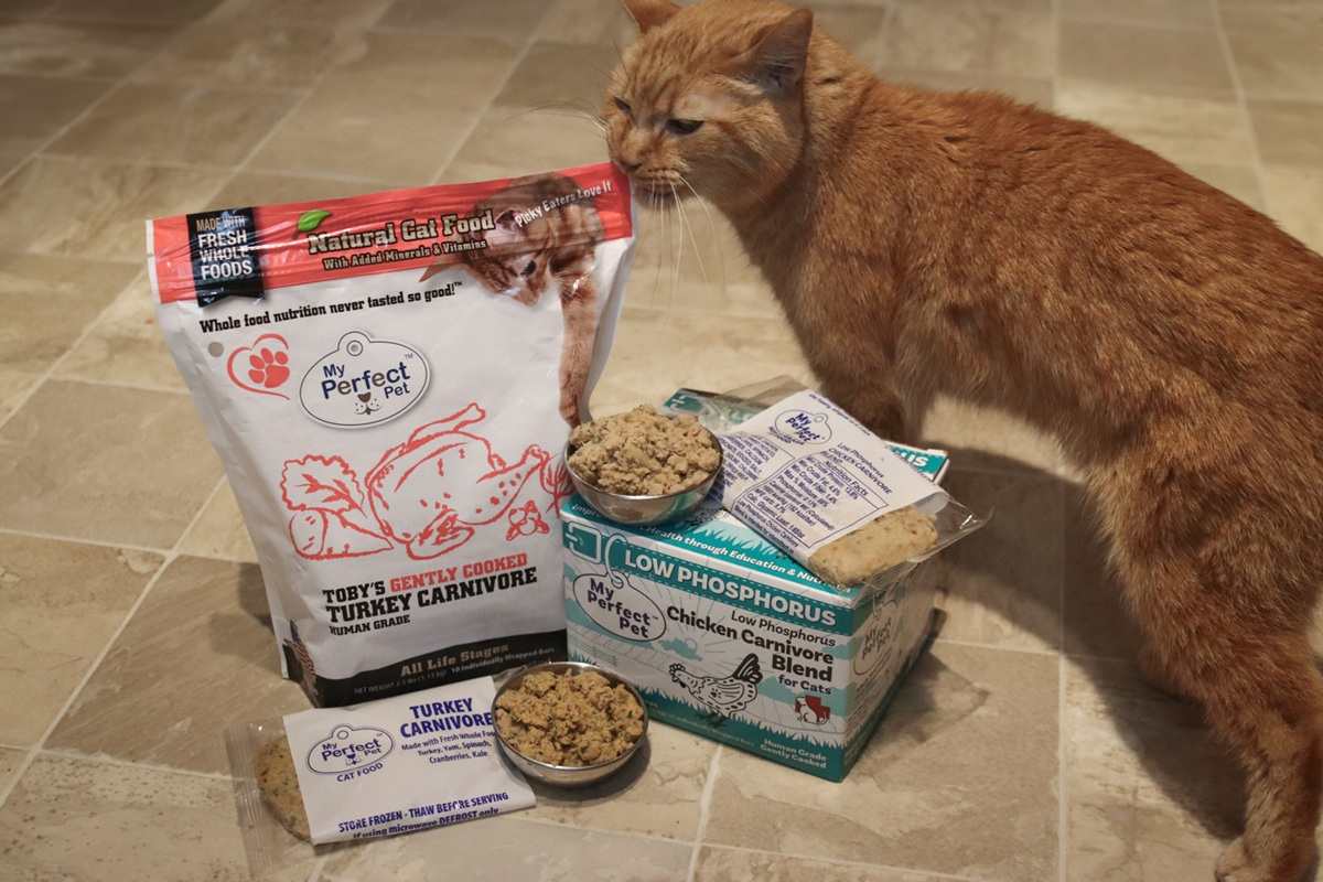 Revisión imparcial de la comida para gatos My Perfect Pet