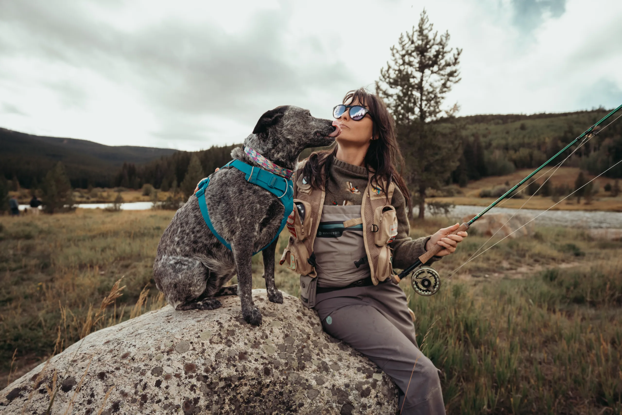 Conoce a dos perfectos Paw-tners: Kayla y Juniper