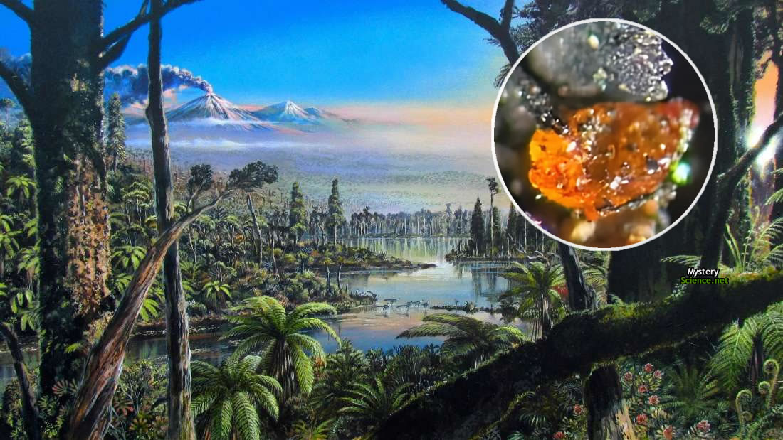 Amber discovered in Antarctica confirms there were forests millions of years ago – Mystery Science