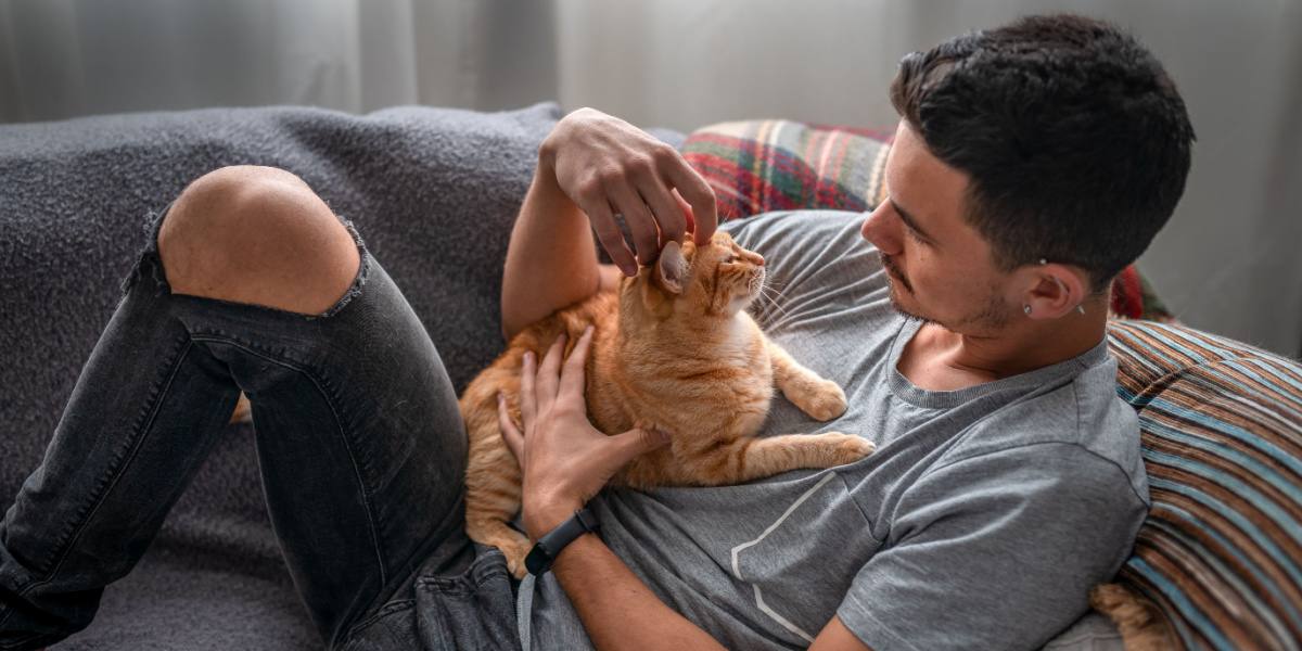 Las 12 señales de un gato extremadamente feliz