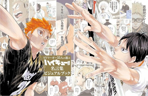 “¡¡Haikyuu!! » ¿“Perder” es una señal de debilidad? ¡Los jugadores de voleibol comparten sus frases favoritas! Se incluirá un libro visual de citas famosas como suplemento especial de “Sportiva”♪