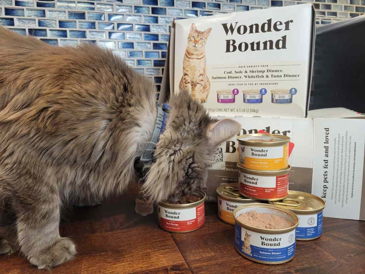 Revisión de comida para gatos Wonder Bound
