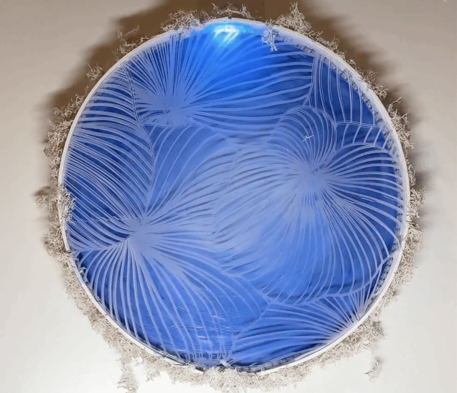 Esta pantalla inspirada en la naturaleza responde a los sonidos ambientales.