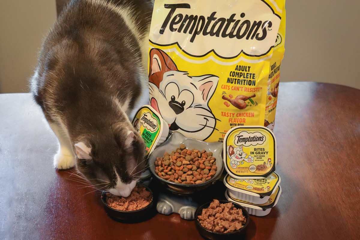 Revisión imparcial de la comida para gatos Temptations