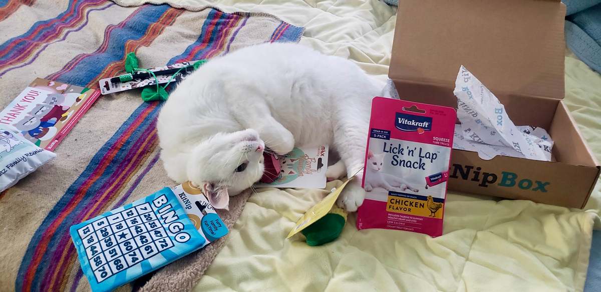 Qué hay dentro: la variedad de juguetes y golosinas de KitNipBox