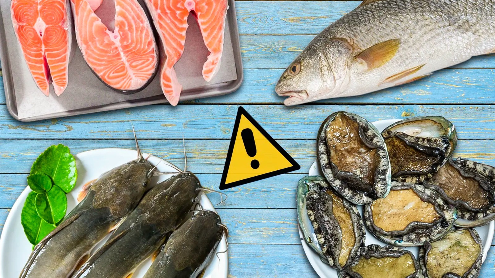 10 peces que podrías tener problemas por comer