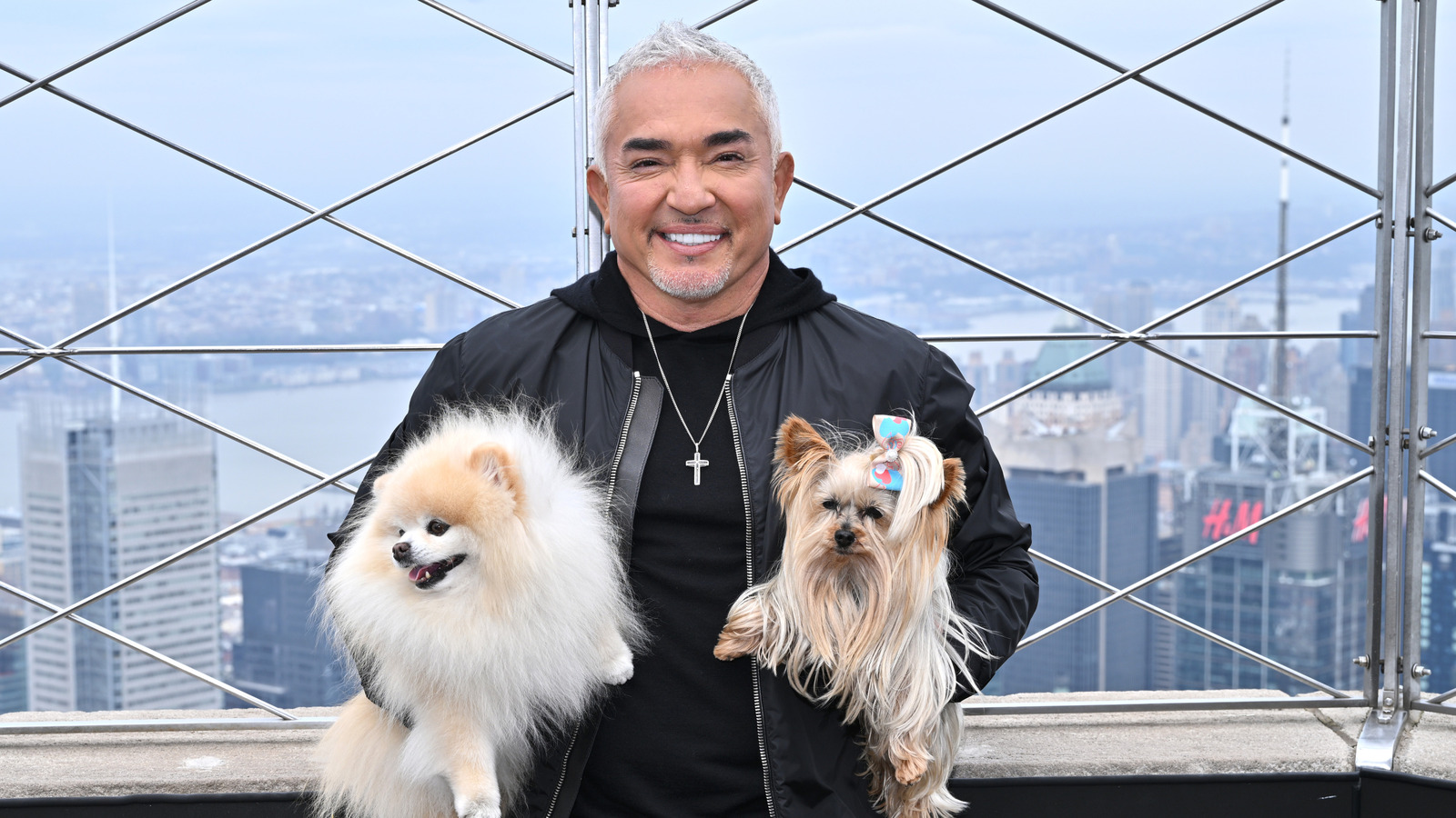 Razones por las que The Dog Whisperer es falso