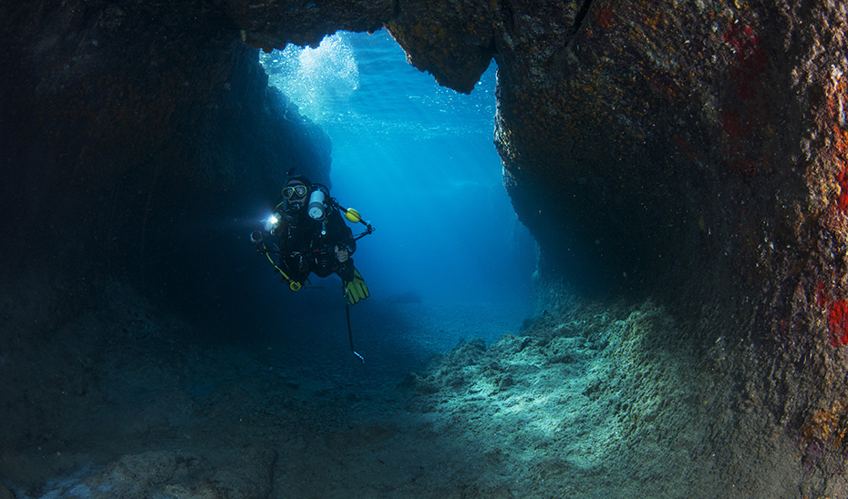 Las cuevas marinas del Cabo de Gata: biodiversidad y patrimonio bajo el Mediterráneo