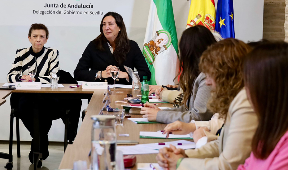 El Consejo Andaluz de Participación de las Mujeres celebra su nuevo pleno de constitución en Sevilla