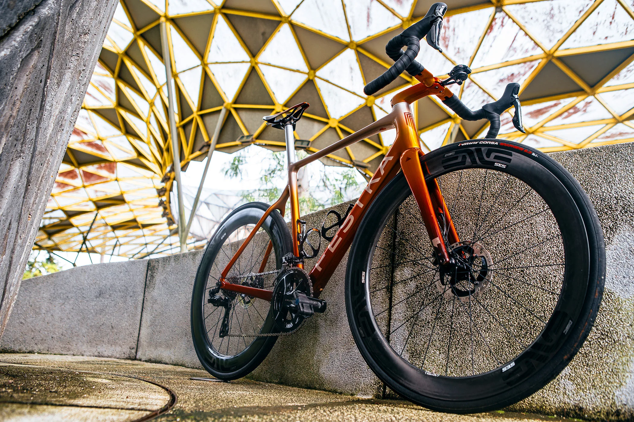 Las 5 bicicletas Festka personalizadas más populares de 2024