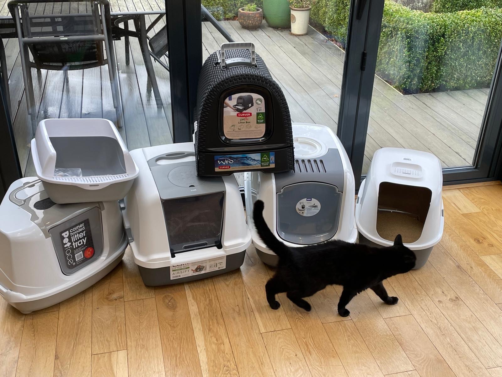Las 7 mejores cajas de arena para gatos del Reino Unido