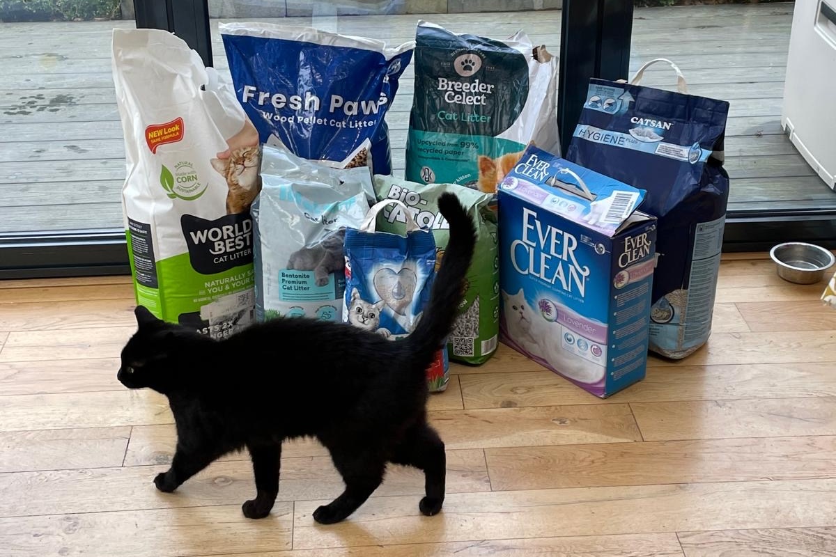 8 de las mejores arenas para gatos del Reino Unido en 2025