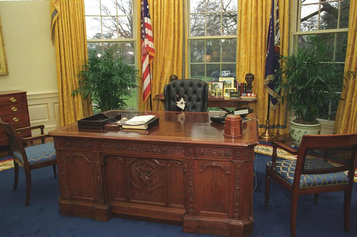 11 presidentes estadounidenses que tuvieron gatos en la Casa Blanca