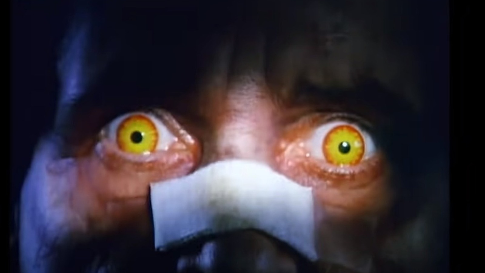 15 películas de terror subestimadas que realmente deberías ver