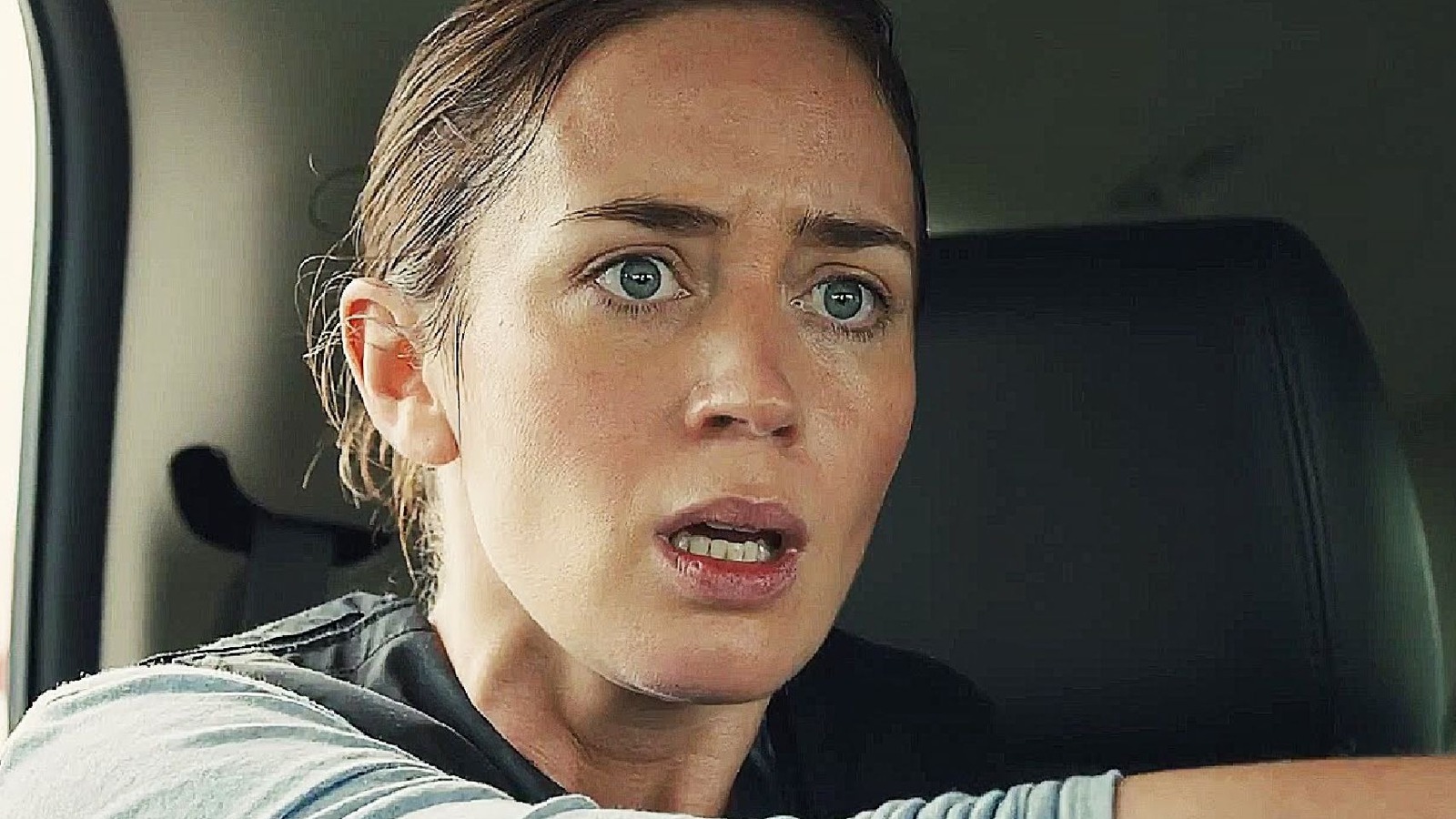 12 mejores películas como Sicario