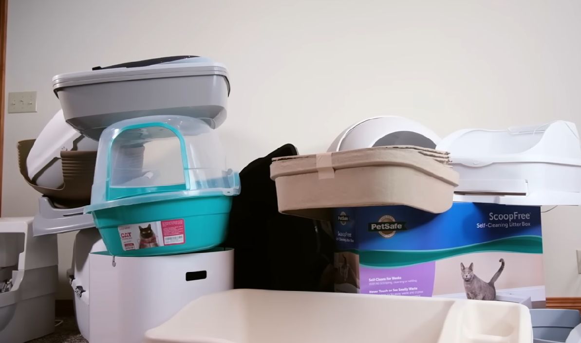 Una guía completa de los diferentes tipos de cajas de arena