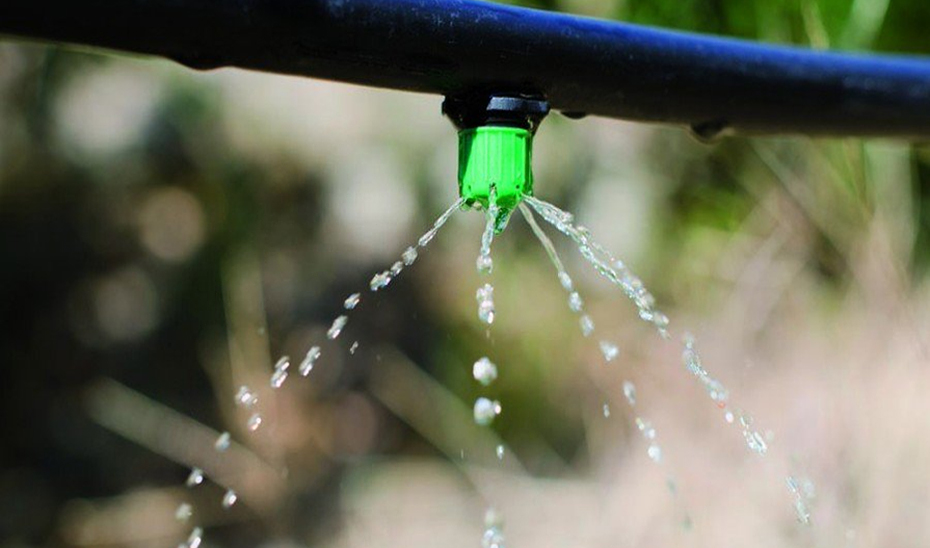 Andalucía avanza en la mejora de la gestión del agua en la agricultura con inteligencia artificial