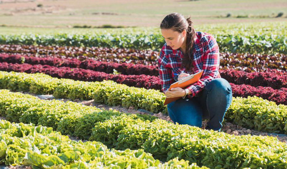 La Junta trabaja para eliminar desigualdades de género en el sector agroalimentario y pesquero