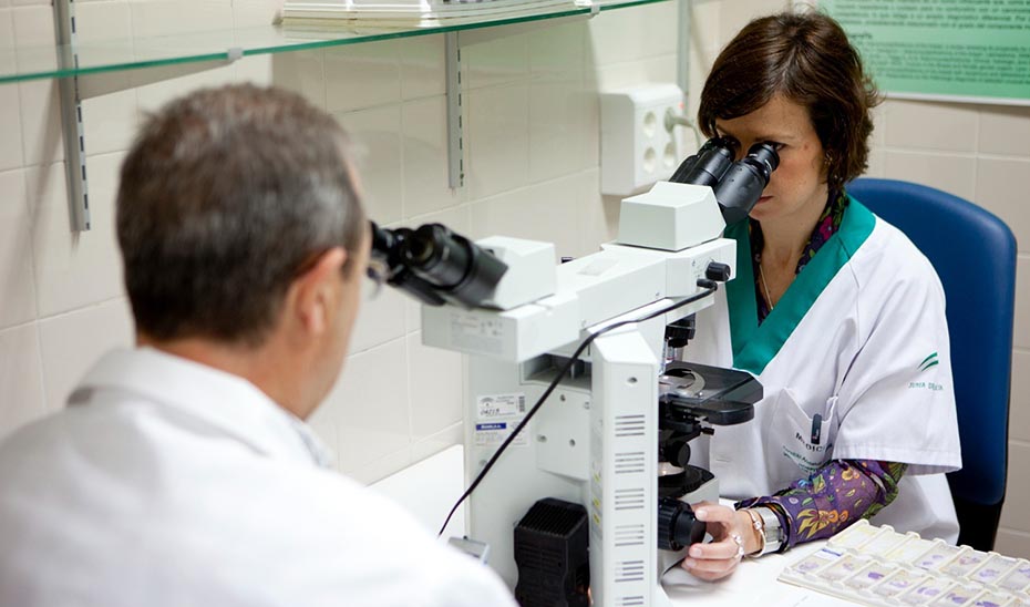 El Consejo Andaluz de Universidades emite informe favorable al anteproyecto de Ley para el Avance de la Ciencia