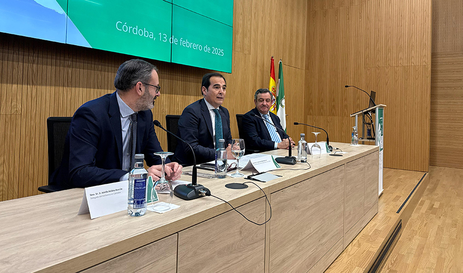El Gobierno andaluz presenta la oferta de cursos del IAAP con 553 actividades y 91.000 plazas este año