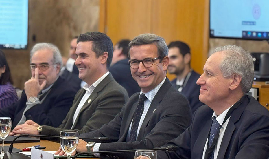 La Junta pide al Gobierno que las inversiones en la red eléctrica den respuesta a los proyectos industriales y energéticos en Andalucía