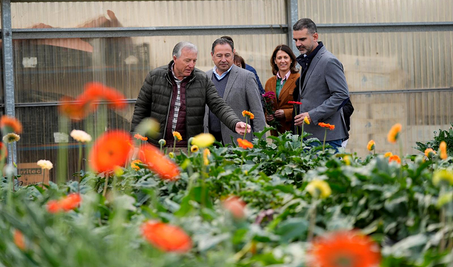 La Junta pide al Gobierno central que “pelee en Bruselas” por el reconocimiento de la flor cortada como productor de frutas y hortalizas