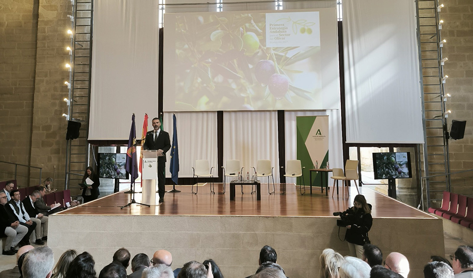 La I Estrategia Andaluza del Olivar apuesta por la competitividad, la rentabilidad y la sostenibilidad